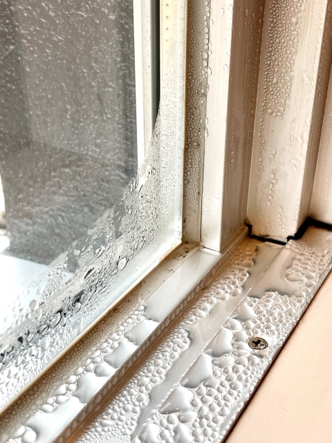 【窓ガラスの結露対策】放置は危険！カビ・劣化を防ぐ効果的な方法